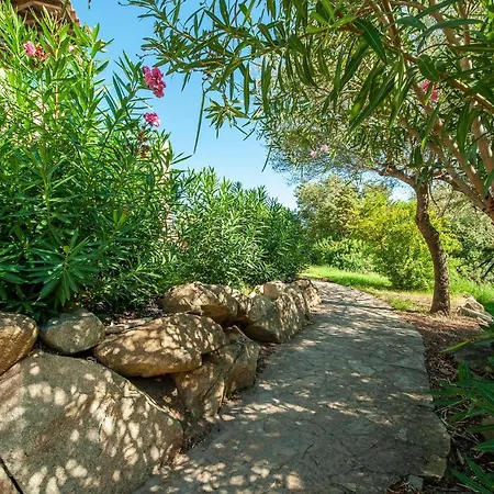 Appartamento Bilo 4 Giardino 2 B Golfo Aranci